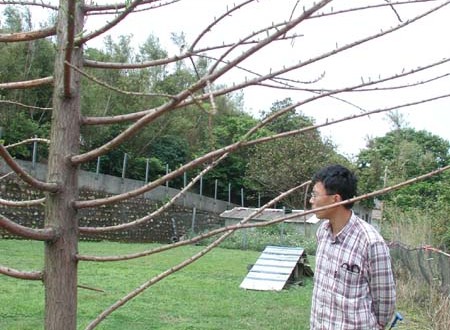 1380945714-3470926983