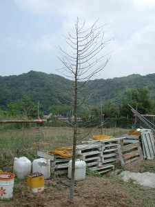 1380945715-3792553014