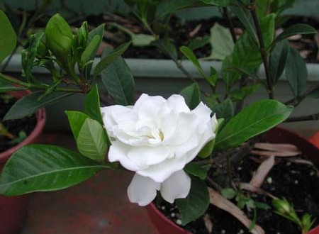 1380945715-4011765876