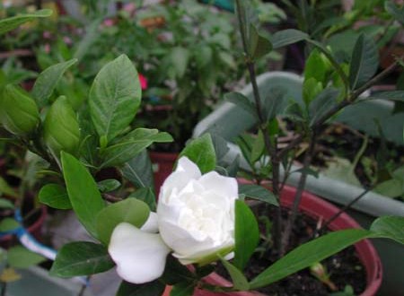 1380945716-2864548817