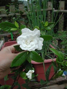 1380945717-1290891920