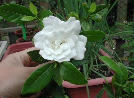 1380945717-1290891920