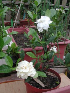 1380945717-3308671002