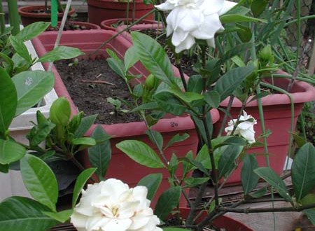 1380945717-3308671002