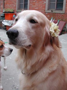 1380945718-1184173319