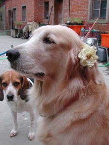 1380945718-2036197752