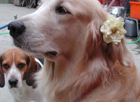 1380945718-2036197752