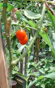 1380946002-863756884