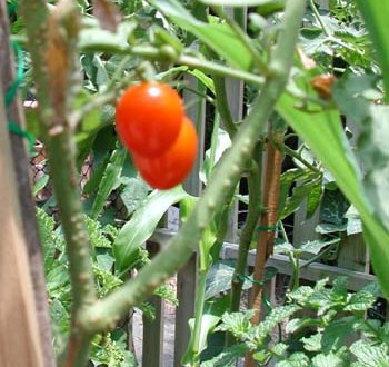 1380946002-863756884