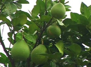 1380946004-3339129468