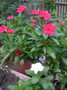 1380946004-3634165377