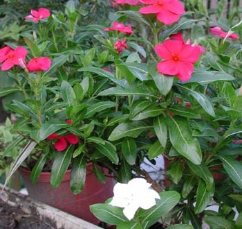 1380946004-3634165377