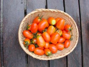 1380946005-2850062803