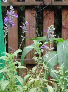 1380946005-4075672237