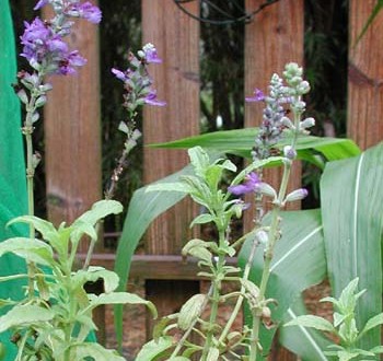 1380946005-4075672237