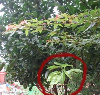 1380946086-1709307951