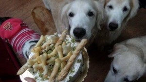 1743533_827657523917198_1600365859_n