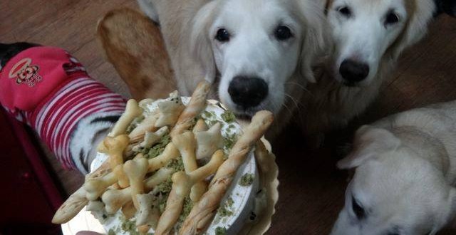 1743533_827657523917198_1600365859_n