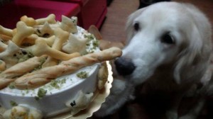 1920322_827657503917200_1668558617_n