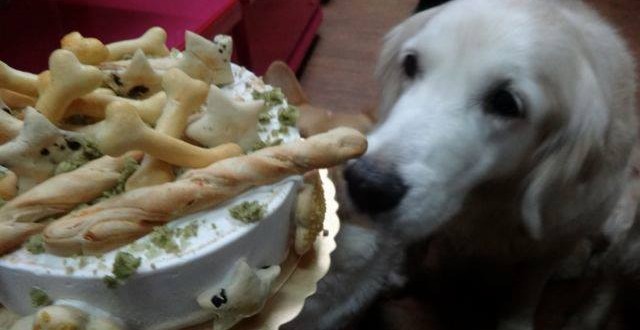 1920322_827657503917200_1668558617_n