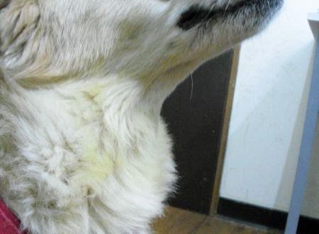 224539_479531305401220_1096523312_n