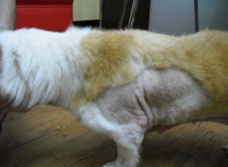 391328_456165714404446_1693650120_n