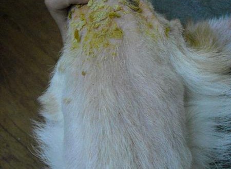 395857_457036250984059_347943849_n