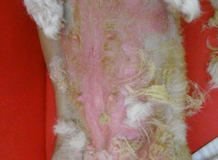 422241_457033390984345_1023549981_n