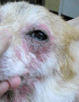 427564_454928761194808_751164361_n