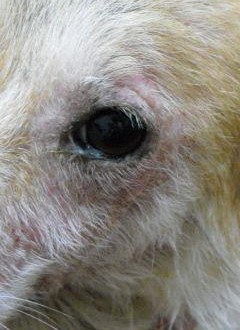 430274_454929344528083_1316078571_n