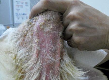 524385_457035824317435_1215806317_n