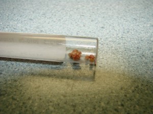 2499554538_9d1abba41b