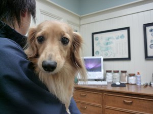 5205811817_0b4d8b8760 (1)