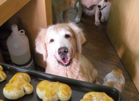 1380943689-3521865957