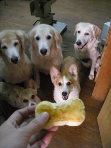 1380943689-4014262515