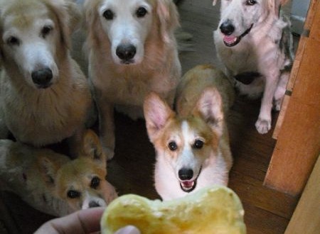 1380943689-4014262515