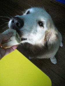 1380943689-955770221