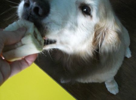 1380943689-955770221