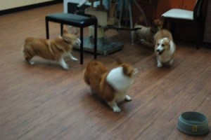 1380944022-743686126