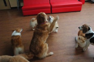 1380944023-1256432508