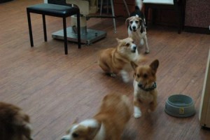 1380944023-1433766745