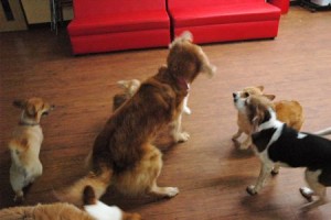 1380944023-3097098754