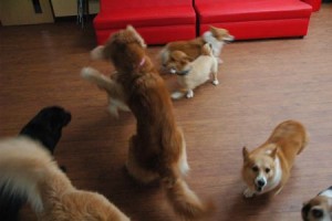 1380944024-1972956658