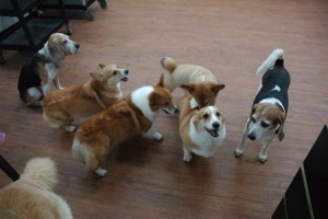 1380944024-3218160188