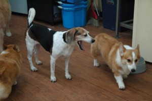 1380944024-4267736746