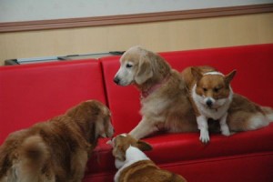 1380944025-1257247751