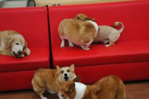 1380944025-1327823916