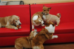 1380944025-3629425874