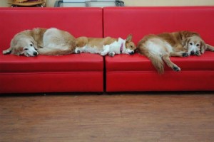 1380944026-1242329283