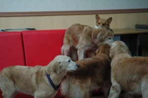 1380944026-1820006661